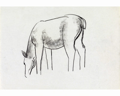 Horses