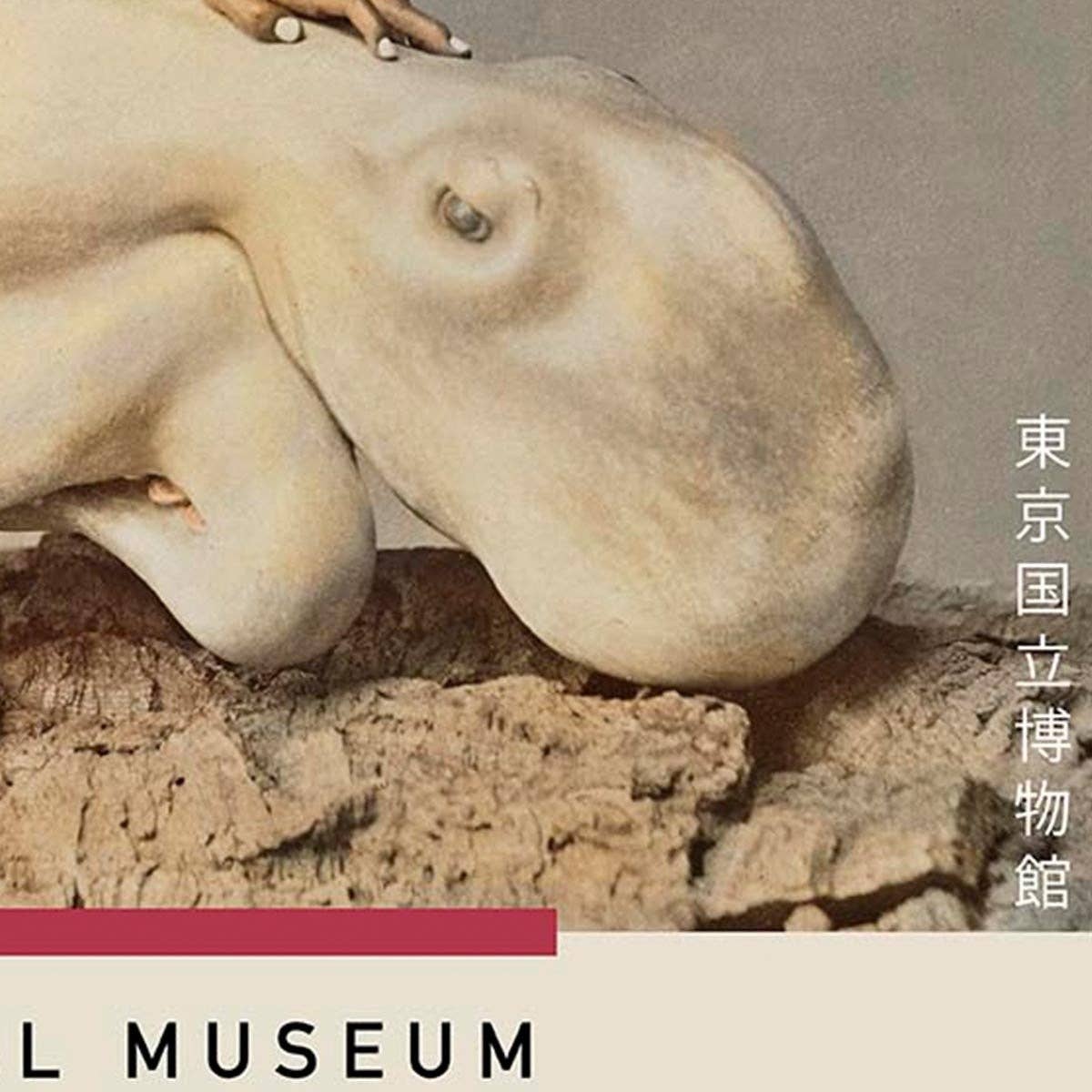 Afiche de la exposición The Battler de Ogawa Kazumasa