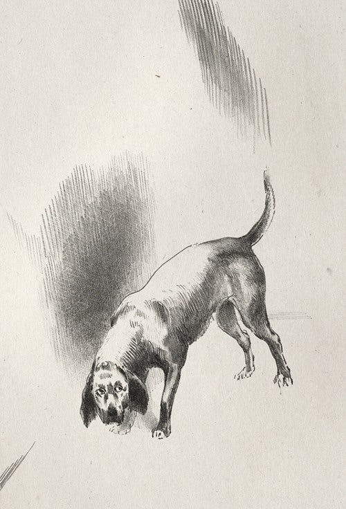 The Haunted House: He Kept His Eyes Fixed on Me with a Look so Strange (1896) by Odilon Redon