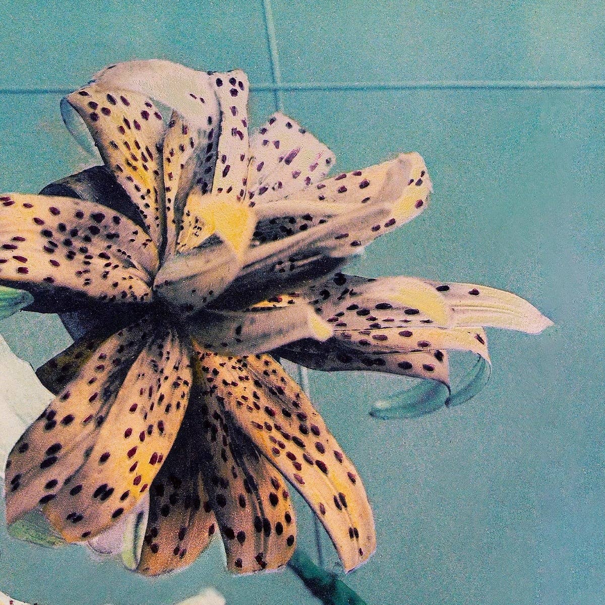 Cuadro de lirios III de Ogawa Kazumasa