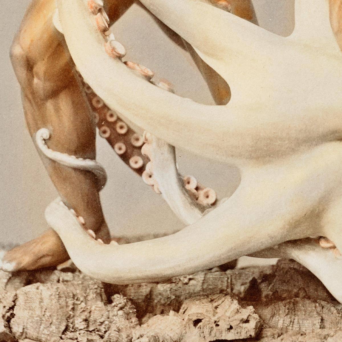 La batalla de Ogawa Kazumasa