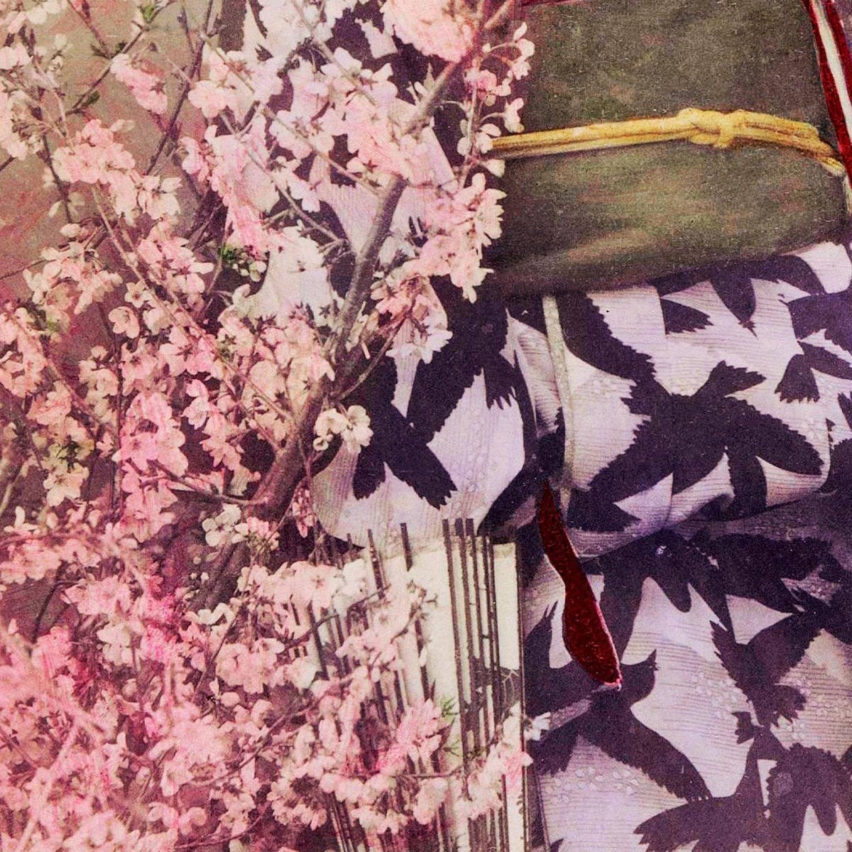 Geisha y flor de cerezo de Ogawa Kazumasa