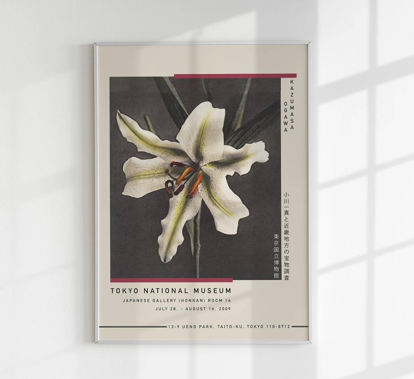 Póster de la exposición Lirio blanco en la oscuridad de Ogawa Kazumasa