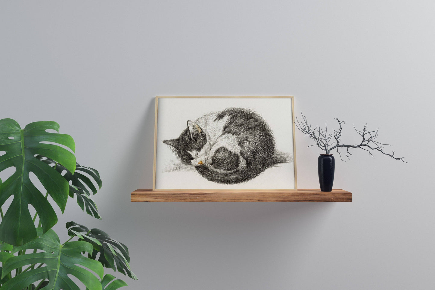 Póster vintage de gatito durmiendo