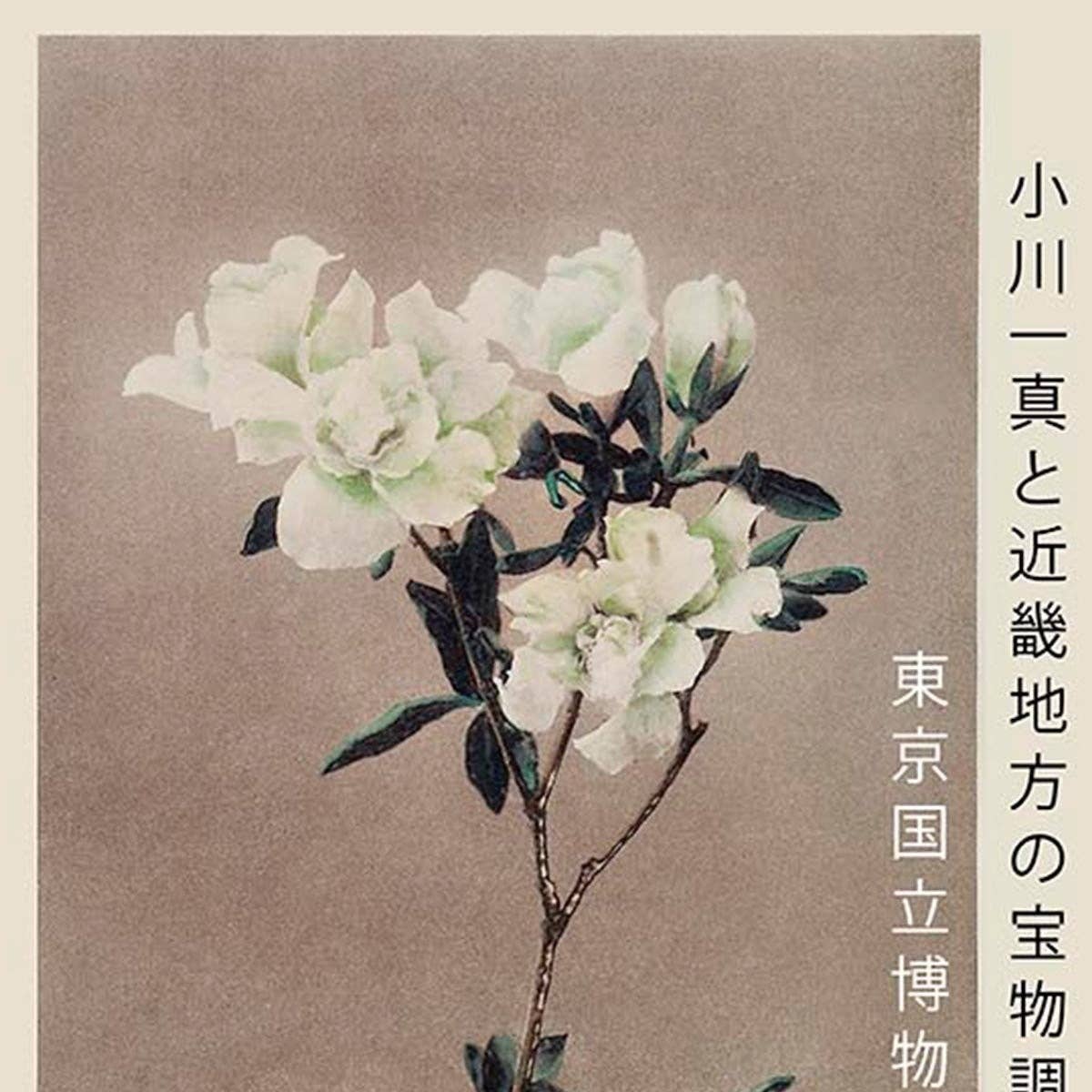 Cartel de la exposición Grupo de azaleas de Ogawa Kazumasa