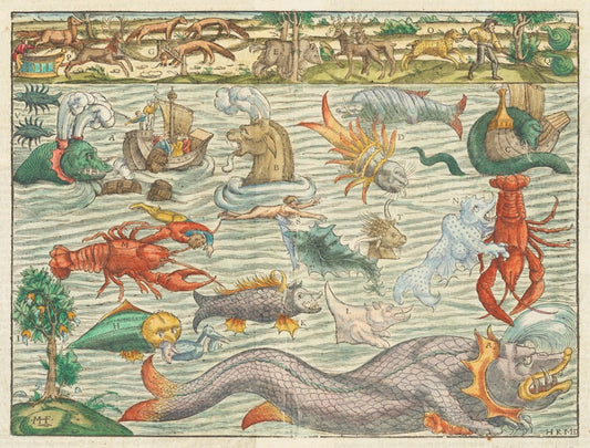 A colorful illustration of various sea monsters and mythical creatures from the 16th century, including a mermaid, a unicorn, a dragon, and other fantastical beings, displayed on heavyweight matte paper.