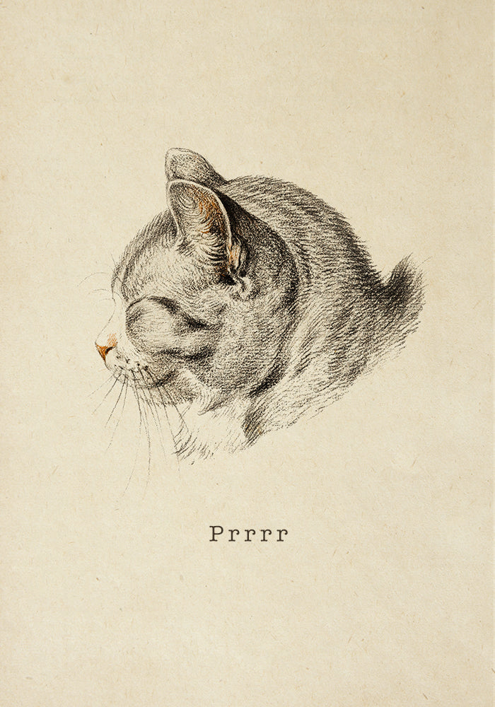 Tríptico de animales antiguos, serie 3 (juego de 3 láminas)