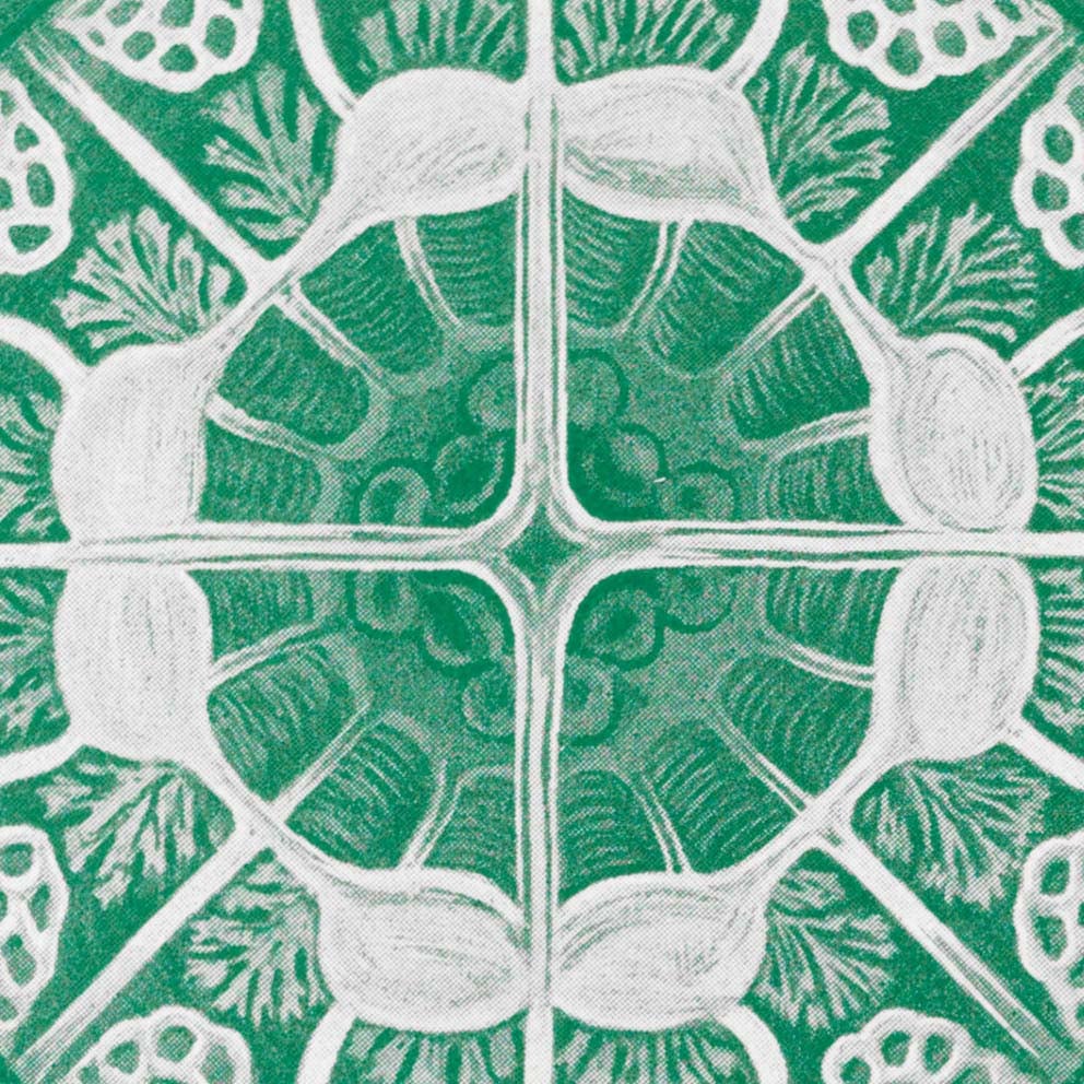 Discomedusae II - Medusa verde, de Ernst Haeckel