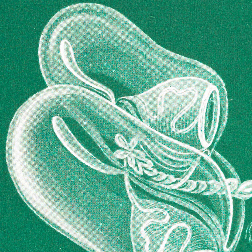 Siphonophorae I de Ernst Haeckel