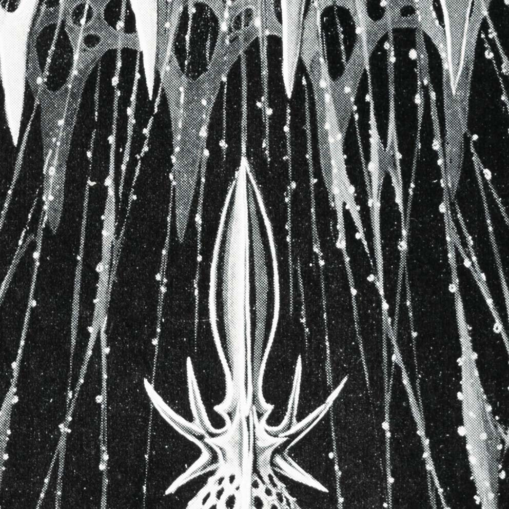 Cyrtoidea de Ernst Haeckel