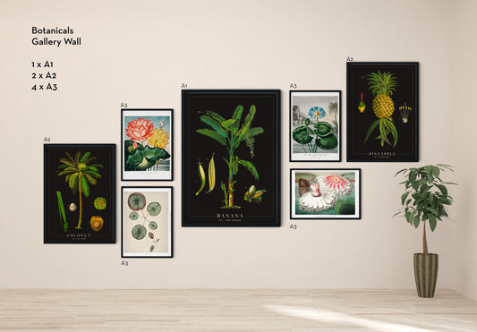 Juego de 7 pósters para pared de galería de arte botánico