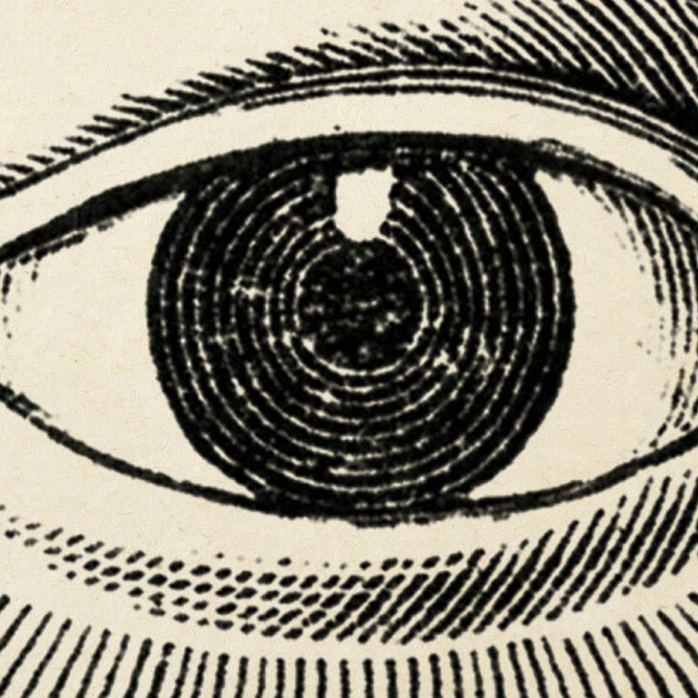 Pósteres de anatomía vintage "EYE FULL" Juego de 3 pósteres