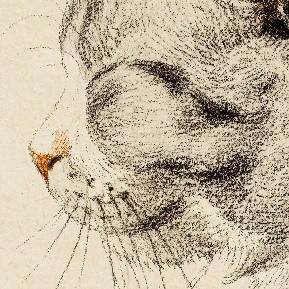 Tríptico de animales antiguos, serie 1 (juego de 3 láminas)