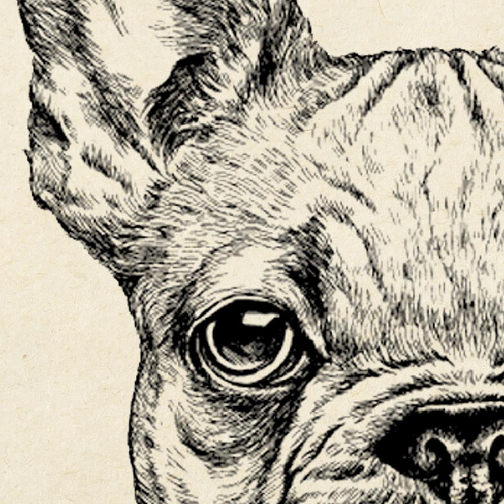 Tríptico de animales antiguos, serie 1 (juego de 3 láminas)