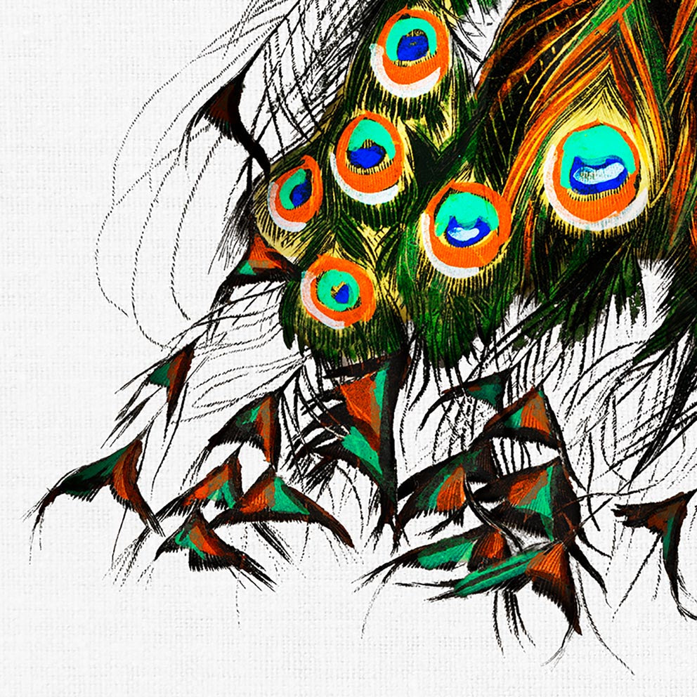 Conjunto de 3 impresiones con ilustraciones de aves vintage
