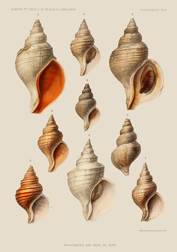 Juego de 6 pósters de pared para galería de arte junto al mar