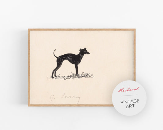 A vintage black and white illustration of a greyhound dog, framed in a light beige wooden frame, with a white and red brand tag on the lower right corner.