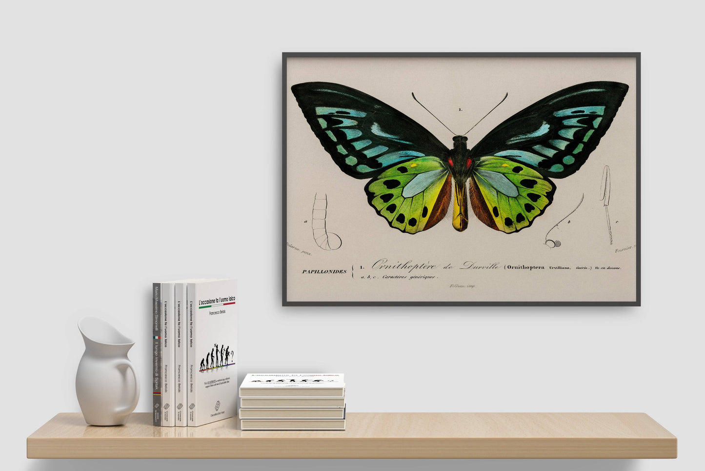 Vintage Butterfly Print