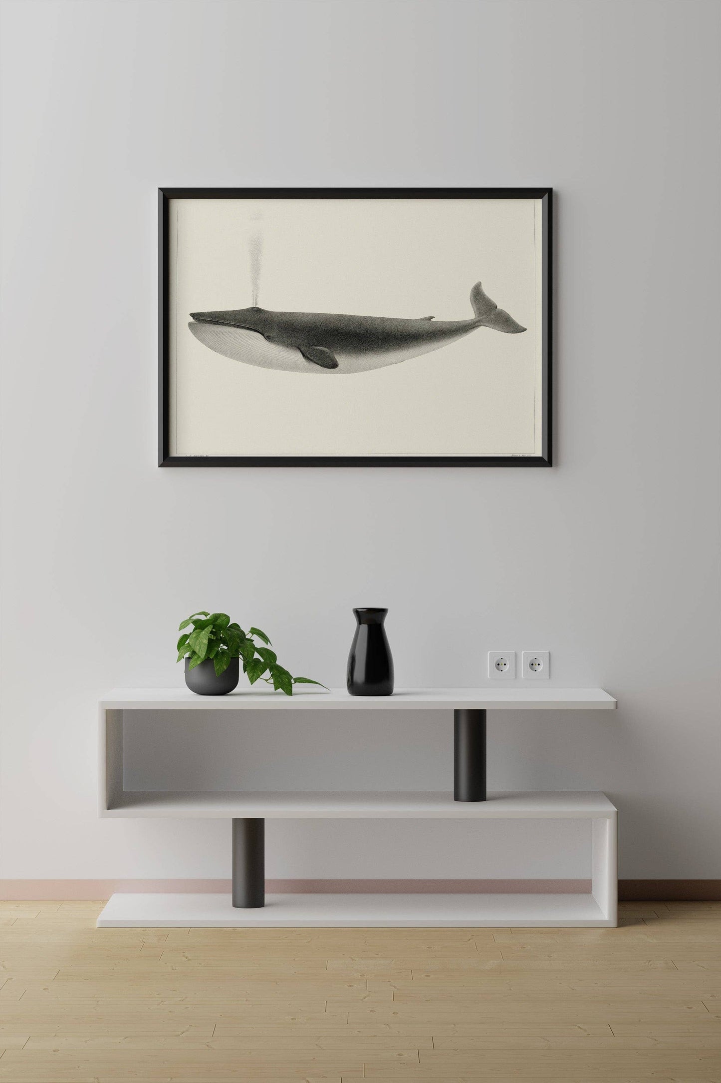 Classic Vintage Whale Poster