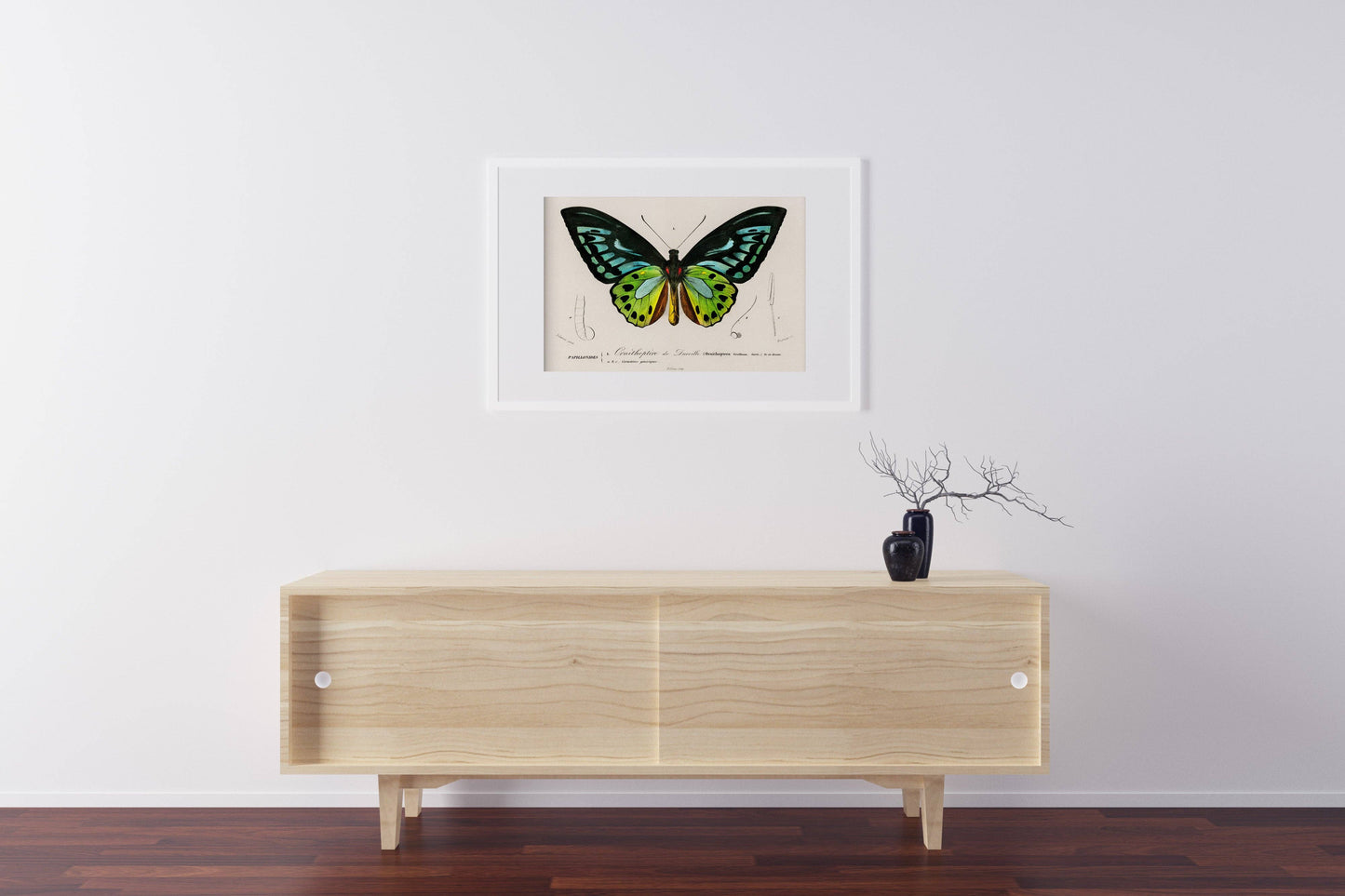 Vintage Butterfly Print