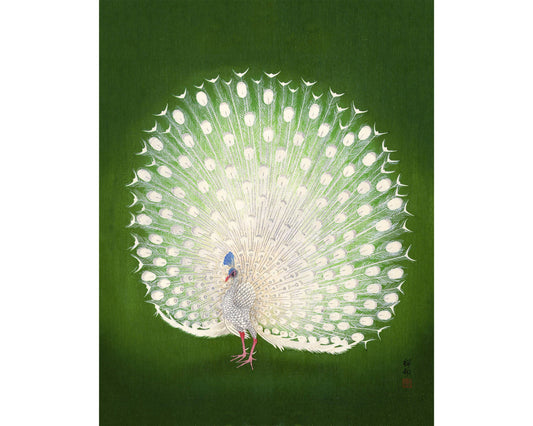 Pavo real verde de Ohara Koson