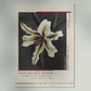 White Lily in the Dark Exhibition Poster by Ogawa Kazumasa