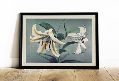 Lirio blanco de Ogawa Kazumasa