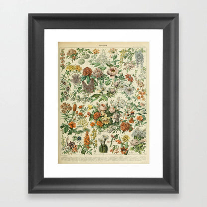 Fleurs C (French Flower Poster III) by Adolphe Millot