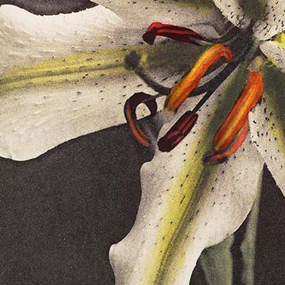 Póster de la exposición Lirio blanco en la oscuridad de Ogawa Kazumasa