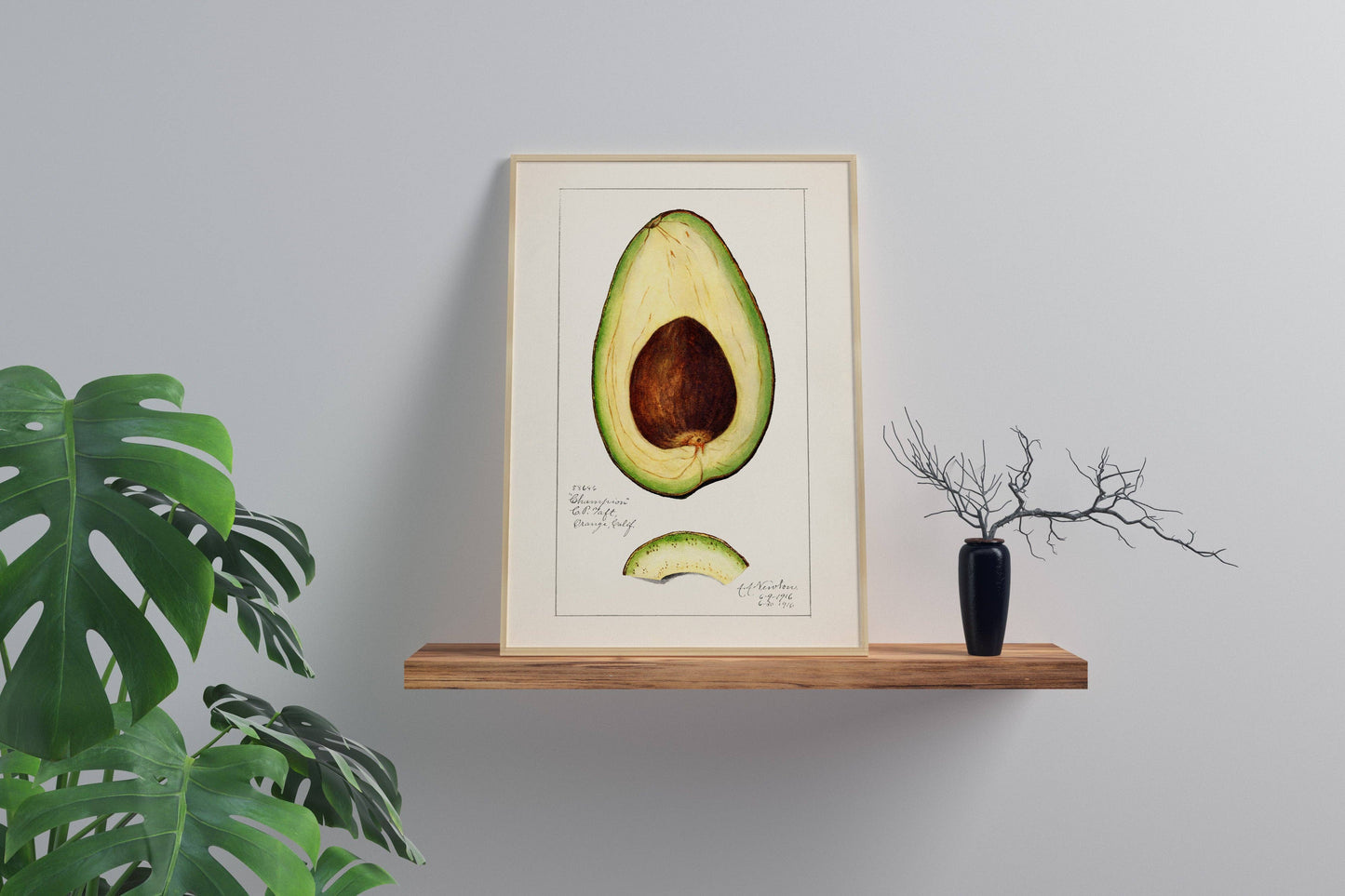 Vintage Avocado Art Print