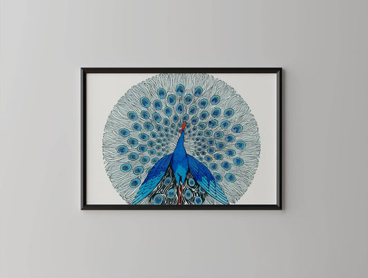 Blue Peacock