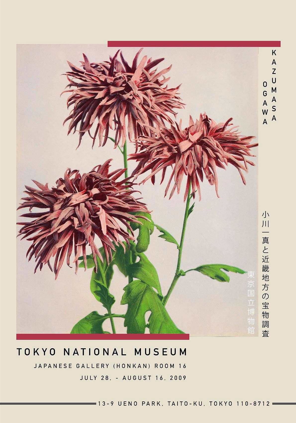 Three Pink Chrysanthemum Exhibition Poster by Ogawa Kazumasa