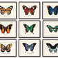 Set of 9 Vintage Butterfly Art Prints