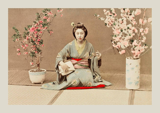 Geisha interpretando a Samisen de Ogawa Kazumasa