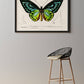 Vintage Butterfly Print