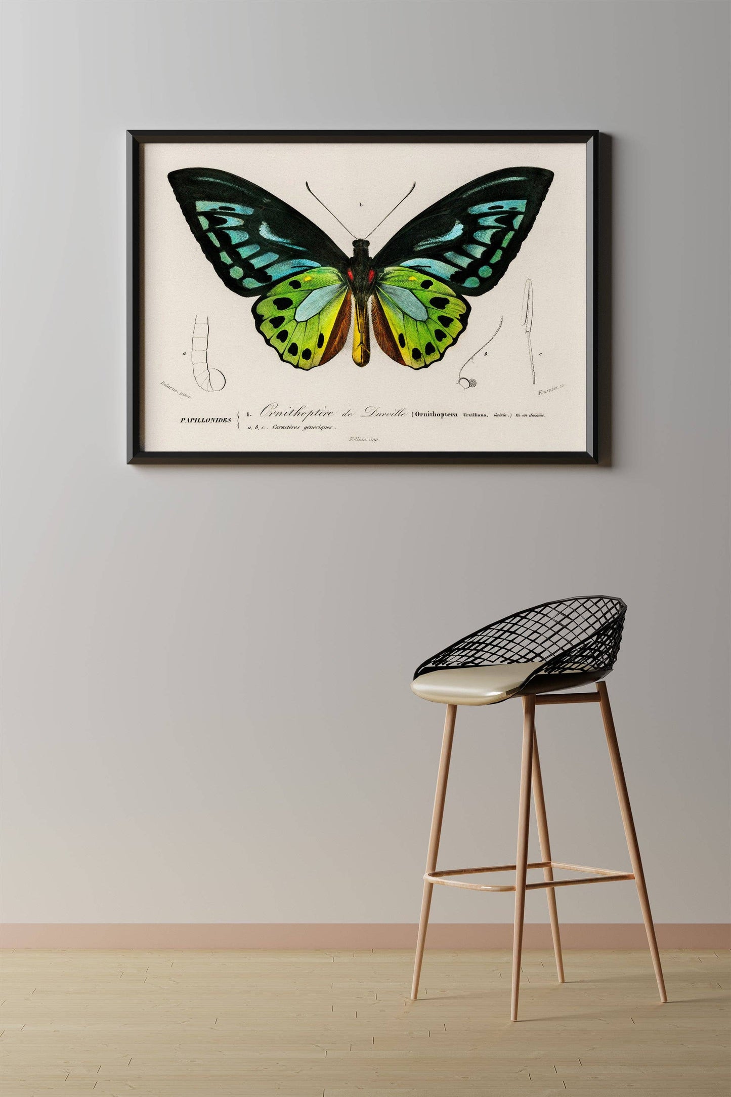 Estampado de mariposas vintage