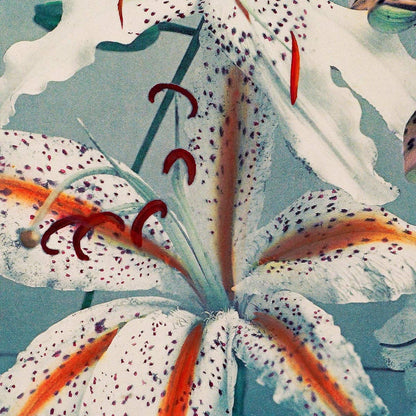 Cuadro de lirios III de Ogawa Kazumasa