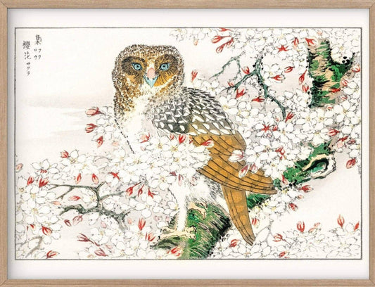 Impresión artística de búho, pájaro vintage, arte mural japonés, búho vintage, flores de cerezo, arte asiático antiguo, regalo de boda, papel de alta calidad