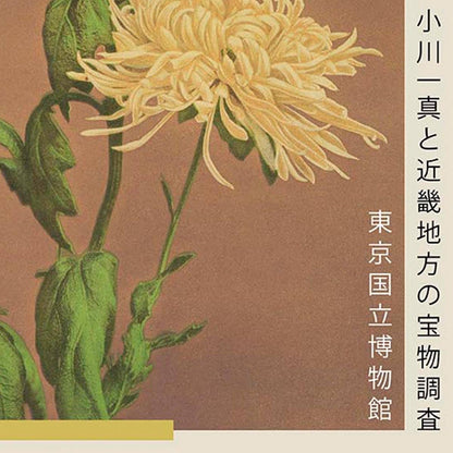 Cartel de la exposición Tres crisantemos amarillos de Ogawa Kazumasa