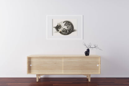 Póster vintage de gatito durmiendo