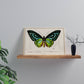 Vintage Butterfly Print