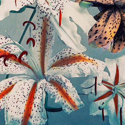 Cartel de la exposición Lily Chart III de Ogawa Kazumasa