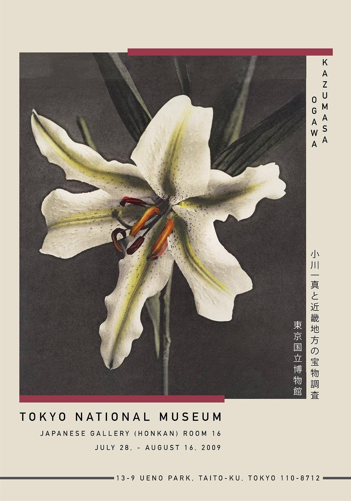 White Lily in the Dark Exhibition Poster by Ogawa Kazumasa