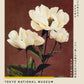 Hærdaceous Peony II  Exhibition Poster by Ogawa Kazumasa