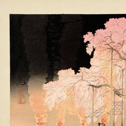 Cerezos en flor por la noche en el parque Maruyama, por Kanpo