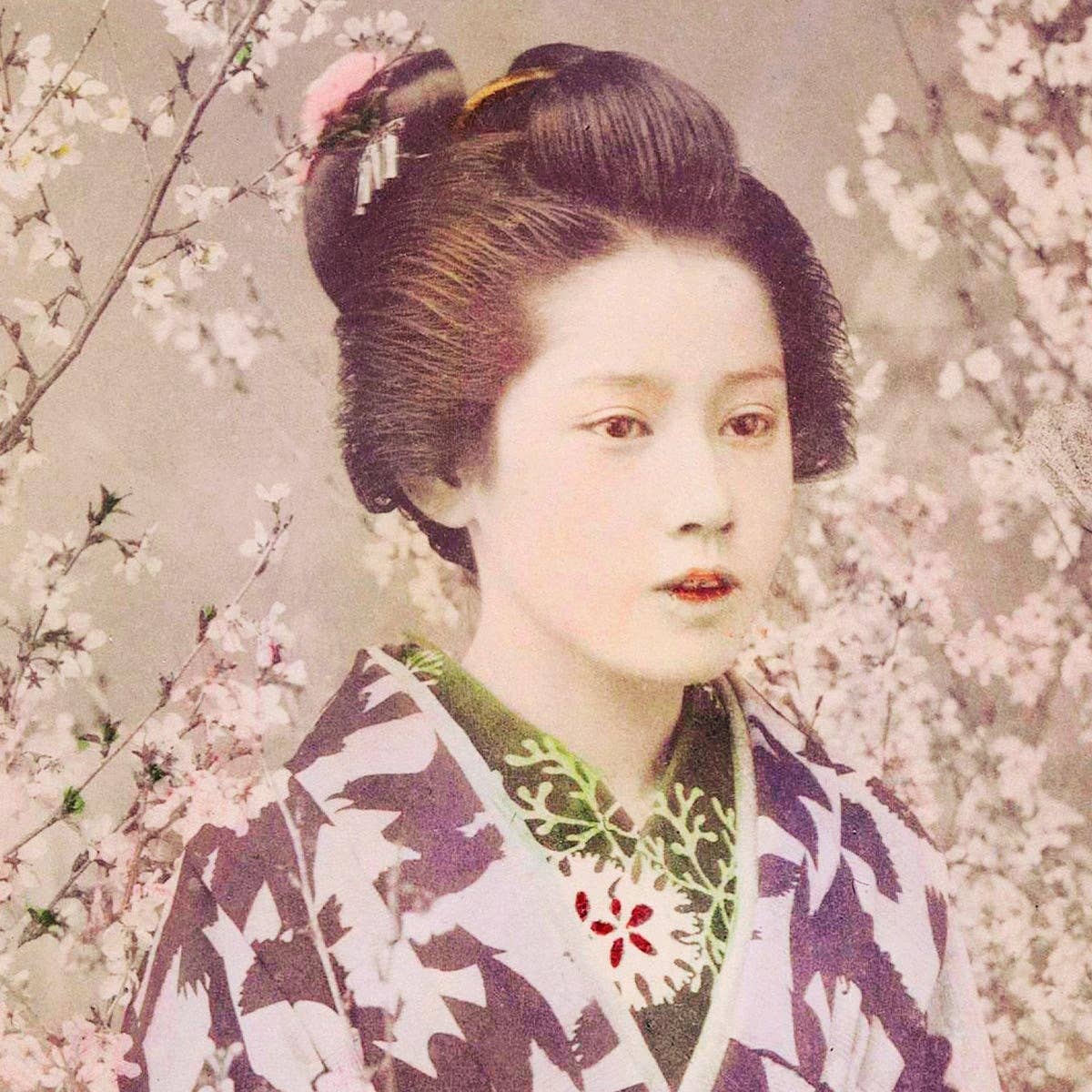 Geisha and Cherry Blossom by Ogawa Kazumasa