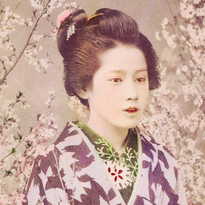 Geisha y flor de cerezo de Ogawa Kazumasa