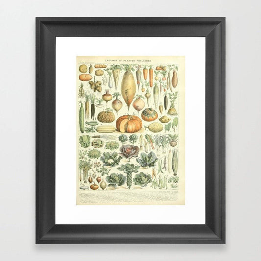 Garden Vegetable Art Print I - Adolphe Millot Vegetables