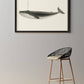 Classic Vintage Whale Poster