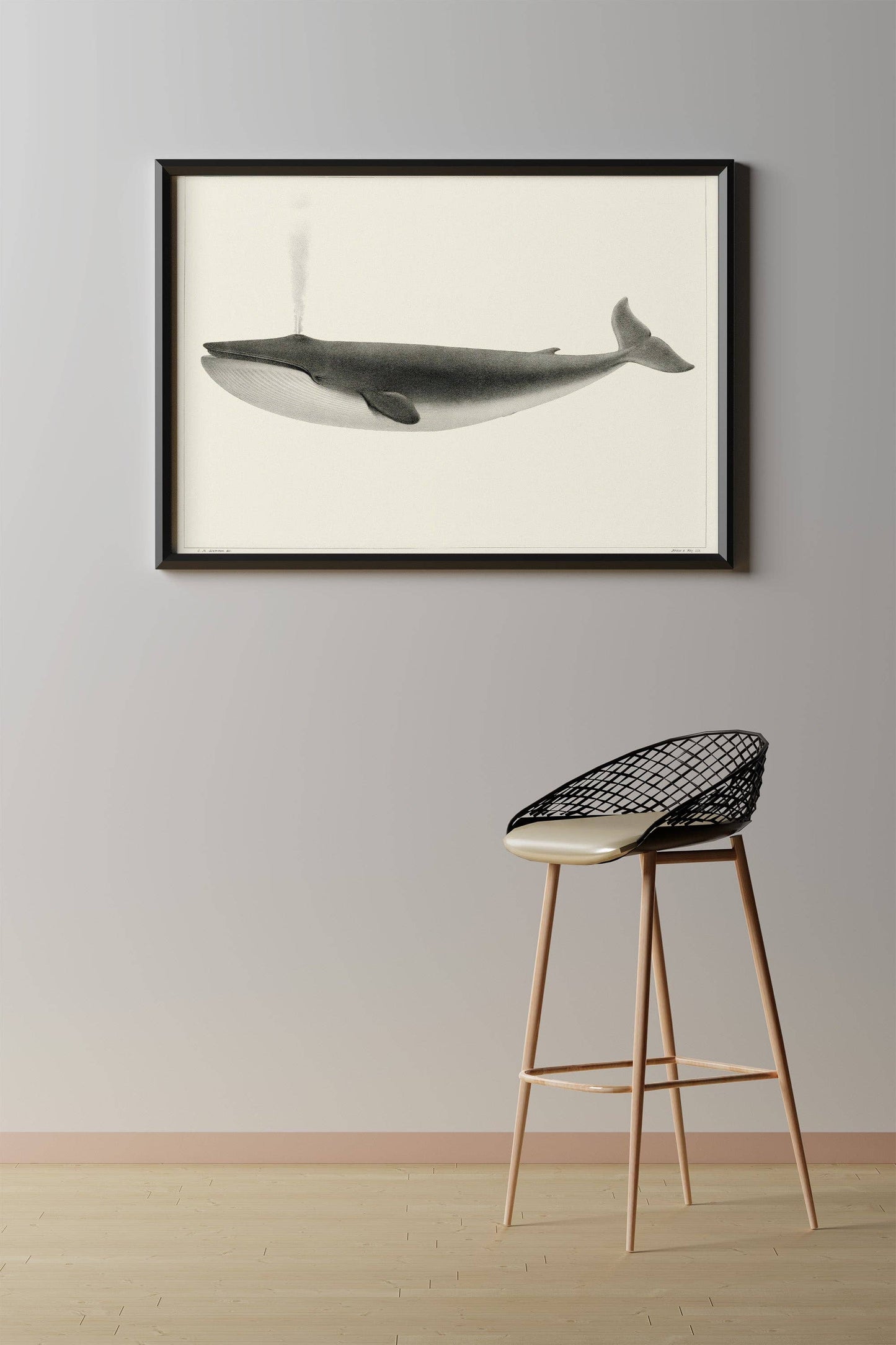 Classic Vintage Whale Poster